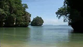 Treasure Island Videos And Porn Movies Pornmd