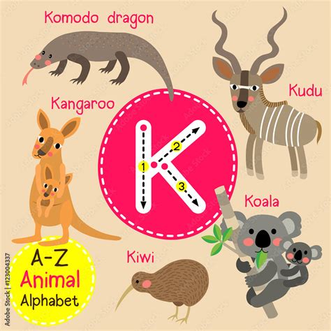 K letter tracing. Kangaroo. Kiwi. Koala. Komodo dragon. Kudu. Cute