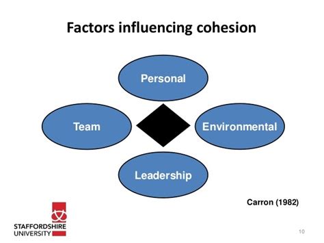 Group Cohesion Diagram Quizlet