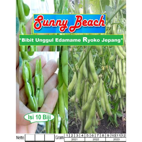 Jual Bibit Unggul Edamame Ryoko Jepang Benih Edamame Ryoko Kedelai