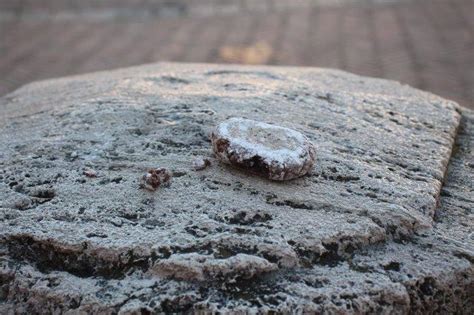 Gli Eroici Un Po Broccioni In Piazza Del Campo Andrea Pagliantini