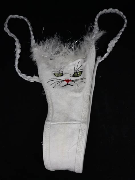 Kitten Lingerie Stock Image Image Of Sparkles Lingerie