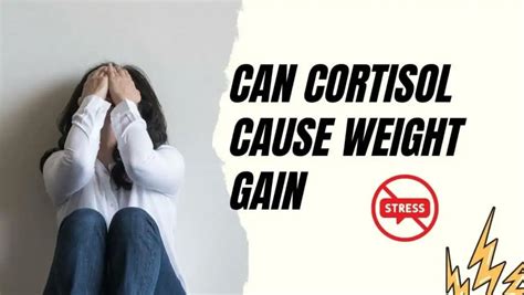 Can Stress Make You Gain Weight Karien Csn Diet