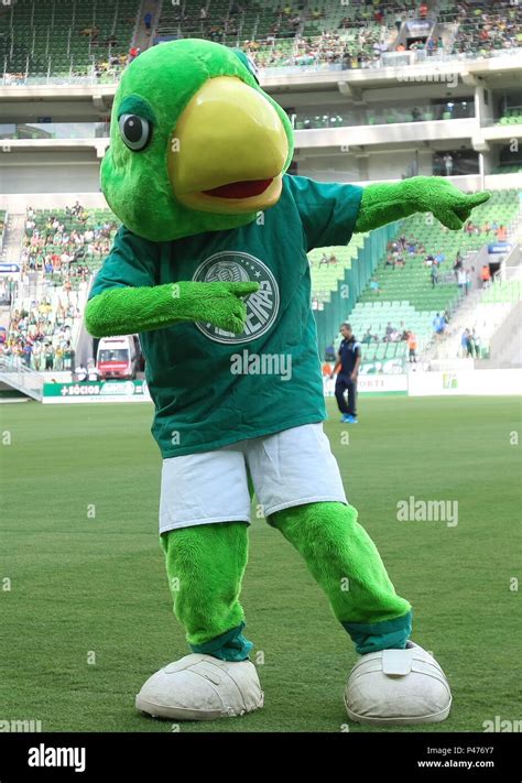 O Mascote Do Palmeiras - O mascote da SE Palmeiras, dança com o mascote do Red Bull Brasil ...