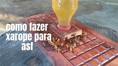 Como fazer xarope para abelha sem ferrão YouTube