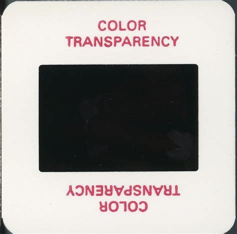 V814 Original 35mm Slide Pin Up Vintage Beauty Model Posing Nude Risque 70s 80s EBay