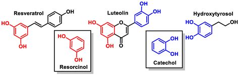 Processes Free Full Text Polyphenols As Antioxidant Pro Oxidant