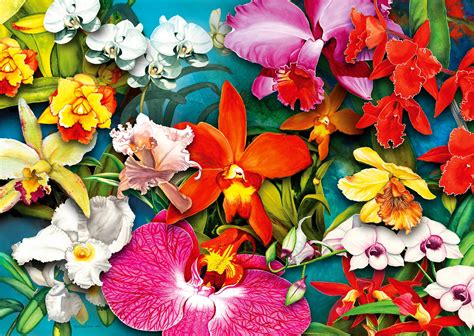 Enjoy Orchid Jungle Bloemenpuzzel Goedkopelegpuzzels Nl