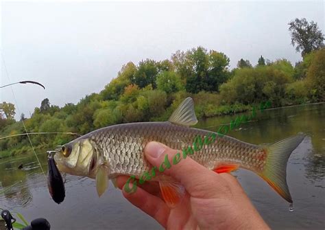 Воблеры для течения