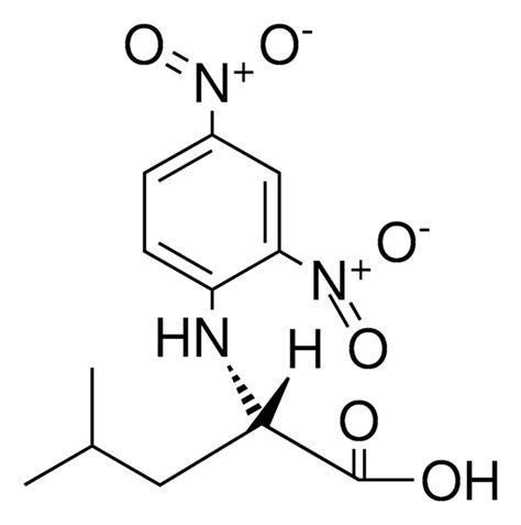 N Dinitrophenyl L Leucine Aldrichcpr Sigma Aldrich