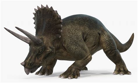 triceratops fact sheet dinosaur coloring pages - dinosaur 7 coloring ...