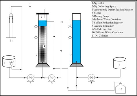 Schematic representation of autotrophic denitrification process with ...
