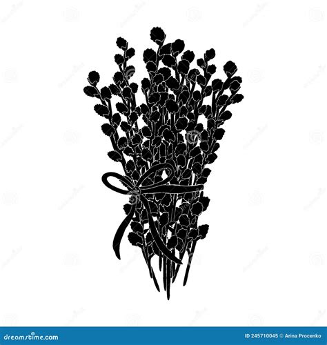 Hand Drawn Pussy Willow Bouquet In Black Colour Stock Illustration Illustration Of Symbo