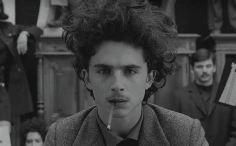 Why Wes Anderson Cast Timothée Chalamet in French Dispatch – IndieWire