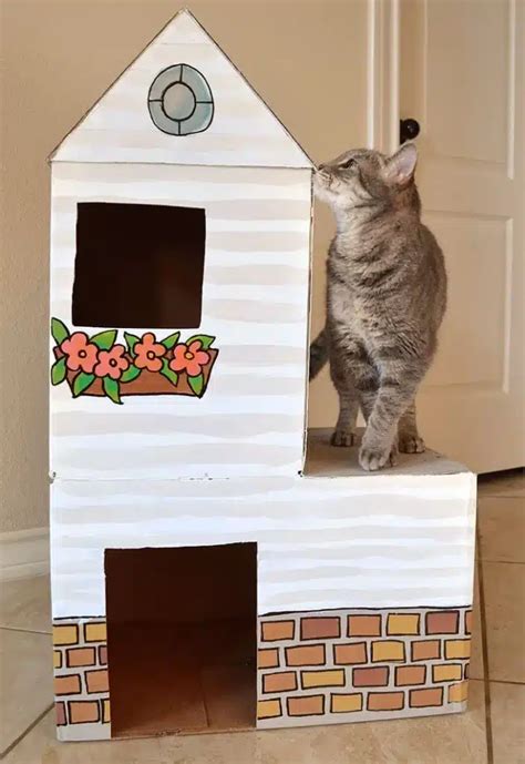 10 Diy Cardboard Cat Beds To Create At Home Vet Approved With