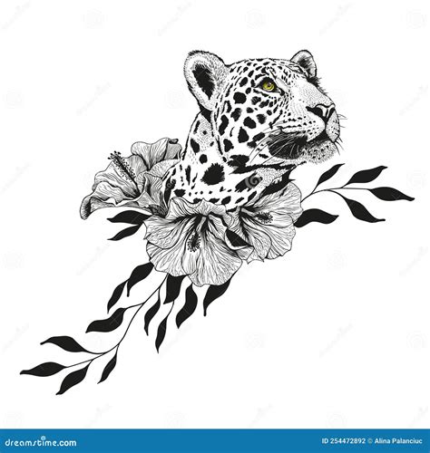 Leopard Pencil Drawing Of Panthera Pardus Head Cartoon Vector