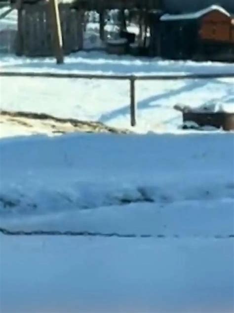 Männer an einem Tag Erotik Model Lily Phillips kriegt Hilfe bei Sex Marathon