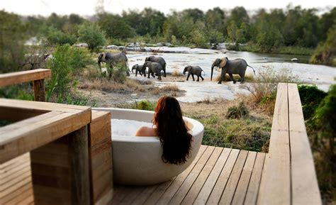 Luxury Safari Lodges And Camps Kruger Park Londolozi Londolozi