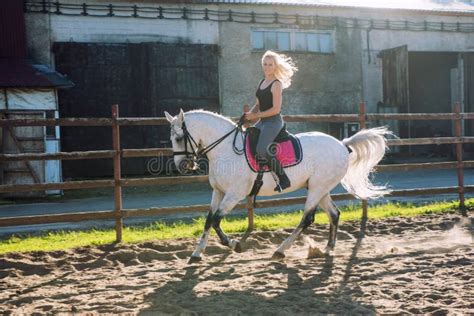 Belle Femme Blonde Montant Un Cheval Photo Stock Image Du Heureux Galop