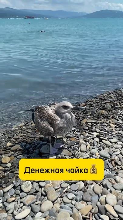 Магнит для денег! - YouTube