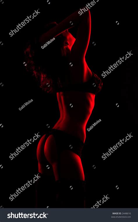 Sexy Lingerie Model Posing Studio Stock Photo 2448616 Shutterstock