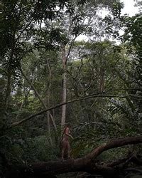 INSTA Lexee Smith Wears Bikini Phun Org Forum