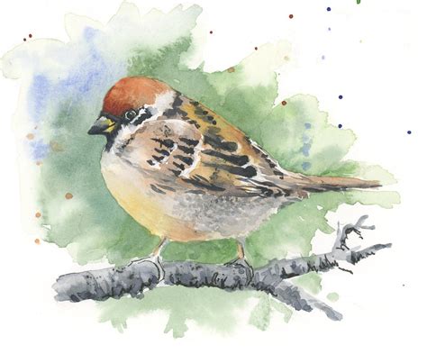 Print Blue Sparrow X Watercolor Bird Painting Watercolor Trustalchemy