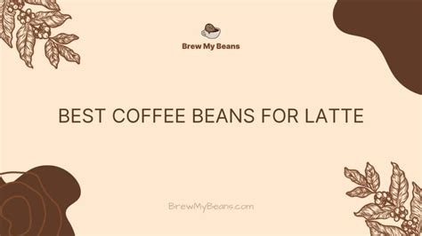 Best Coffee Beans for Latte: A Detailed Guide to Your Perfect Brew - Brew My Beans