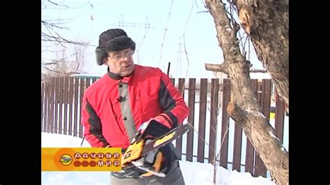 Обрезка сучьев в саду - YouTube