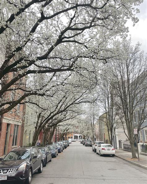 Over-the-Rhine, Cincinnati - Home