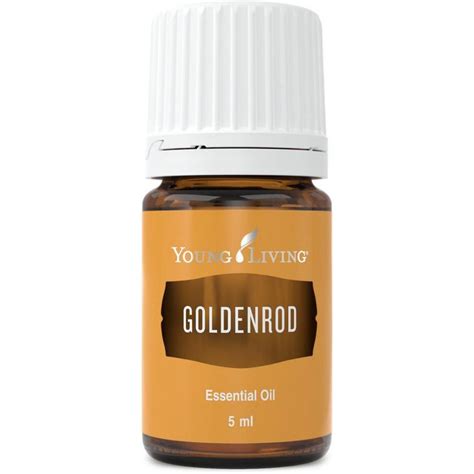 Goldenrod Essential Oil 5ml Artofit