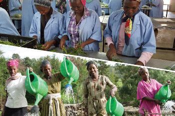 ong  institutions de financement du developpement entraide