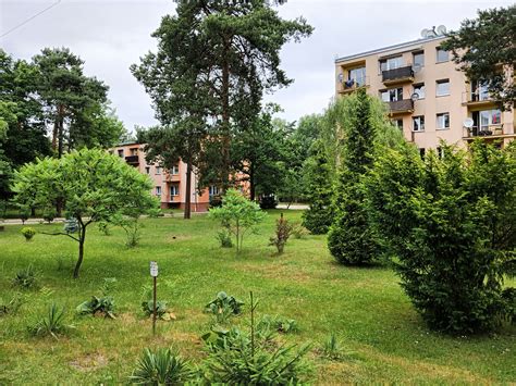 The Vital Role of Urban Nature: How Green Spaces Enhance City Living