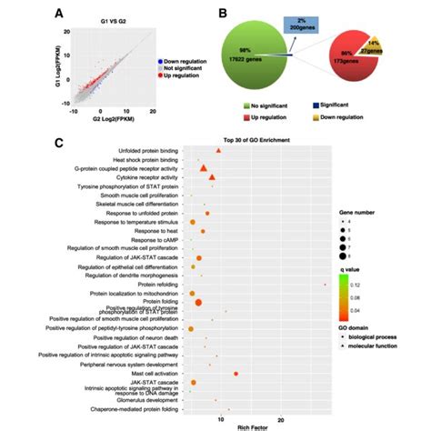 KEGG pathway analysis of the differentially expressed genes (DEGs). a ...