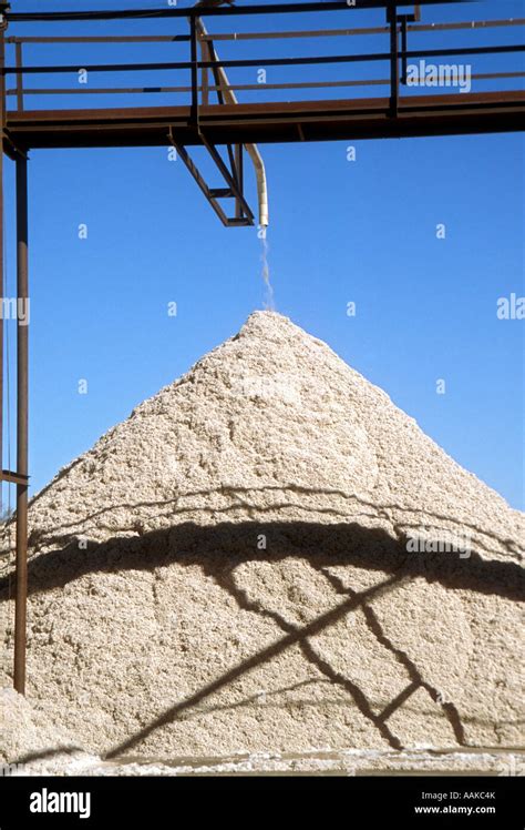 Cotton Being Processed Marana Arizona Stock Photo Alamy