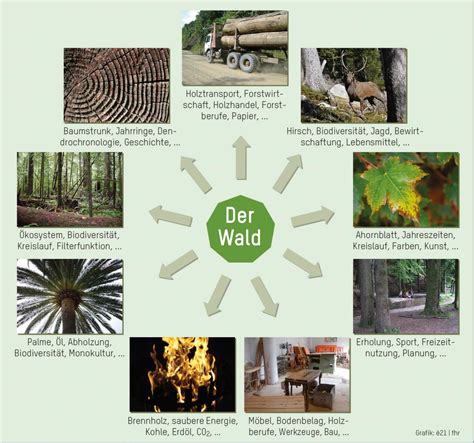 Wald Education