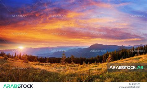 Beautiful Nature Beautiful Mountains Highlands Trees Green Plants Beauty Sky Sunset Time Scenery ...