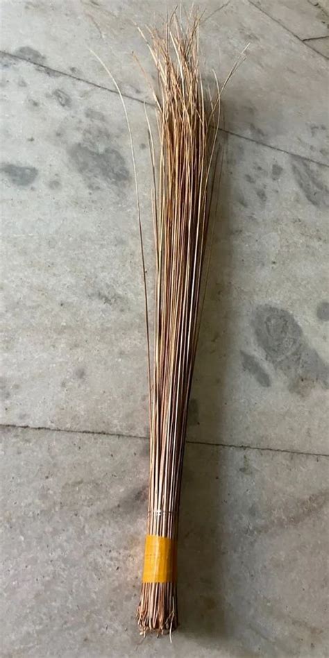 Coconut Jhadu Broom Stick At Rs 40 Piece Cleaning Broom In New Delhi