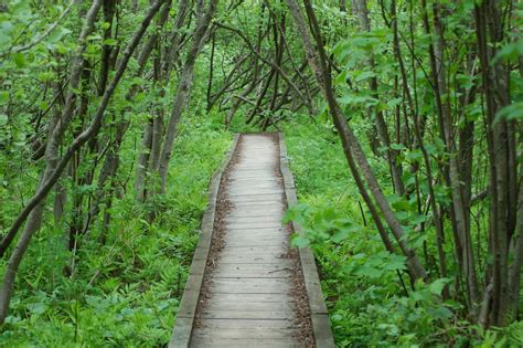 Hike Michigan Trails And Get Rewarded This Summer Travel The Mitten