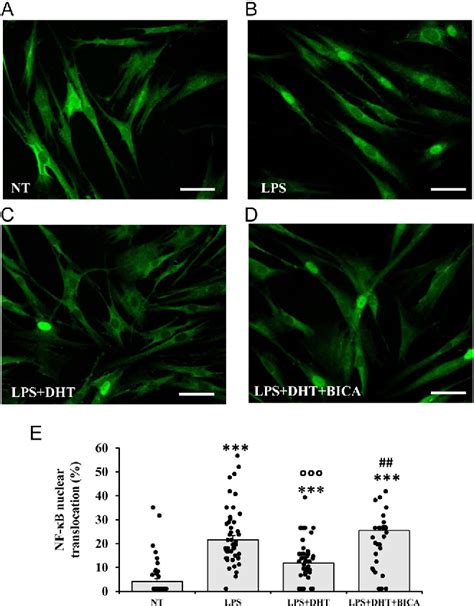 Figure 9 From Anti Inflammatory Effects Of Androgens In The Human Vagina Semantic Scholar