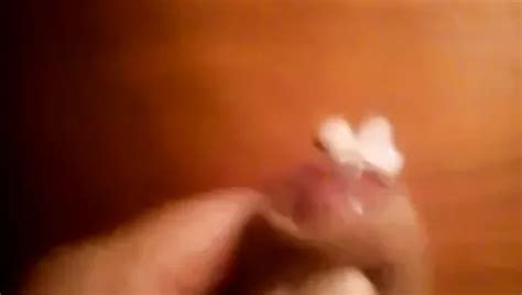 Sparky Gay Porn Creator Videos Free Amateur Nudes Xhamster