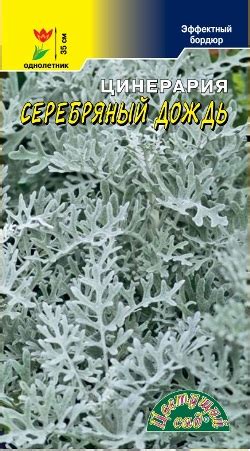 Цинерария Серебряный дождь 0,1г