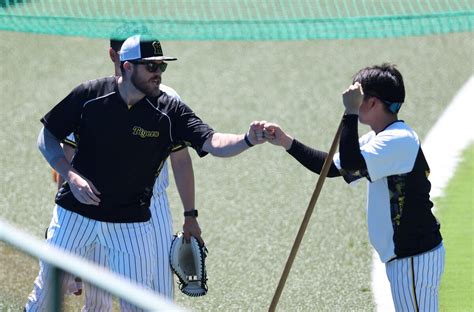 3位の阪神が2位のdenaと3連戦初戦 先発は約1カ月ぶりの1軍登板となるビーズリー 森下は3試合連続スタメン落ち ライブドアニュース