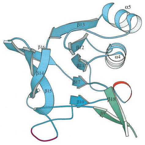 The Two Domains In Thioredoxin Reductase Viewed In The Same Direction