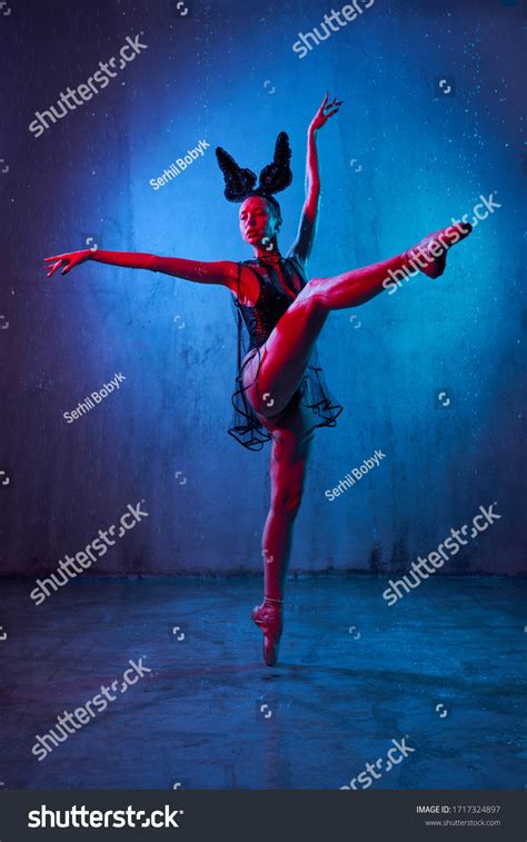 Sexy Wet Ballerina Black Lingerie Ears Shutterstock