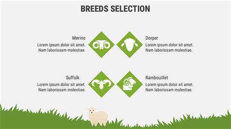 Sheep Farming Business Plan PowerPoint and Google Slides Template - PPT ...