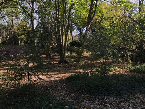 Surrey Medieval | The medieval period and beyond, in Surrey and beyond