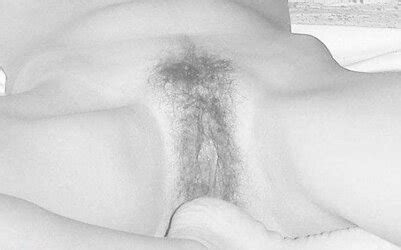 Potpurri Of Retro Ero And Porn Pictures ZB Porn