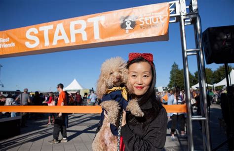 Strut Your Mutt in NYC brings out the pet lovers | Best Friends Animal ...