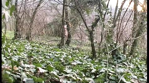 Film Dossier Italia Senza Vergogna Delirio 41 Italian Porn By CentoXcentovod XHamster